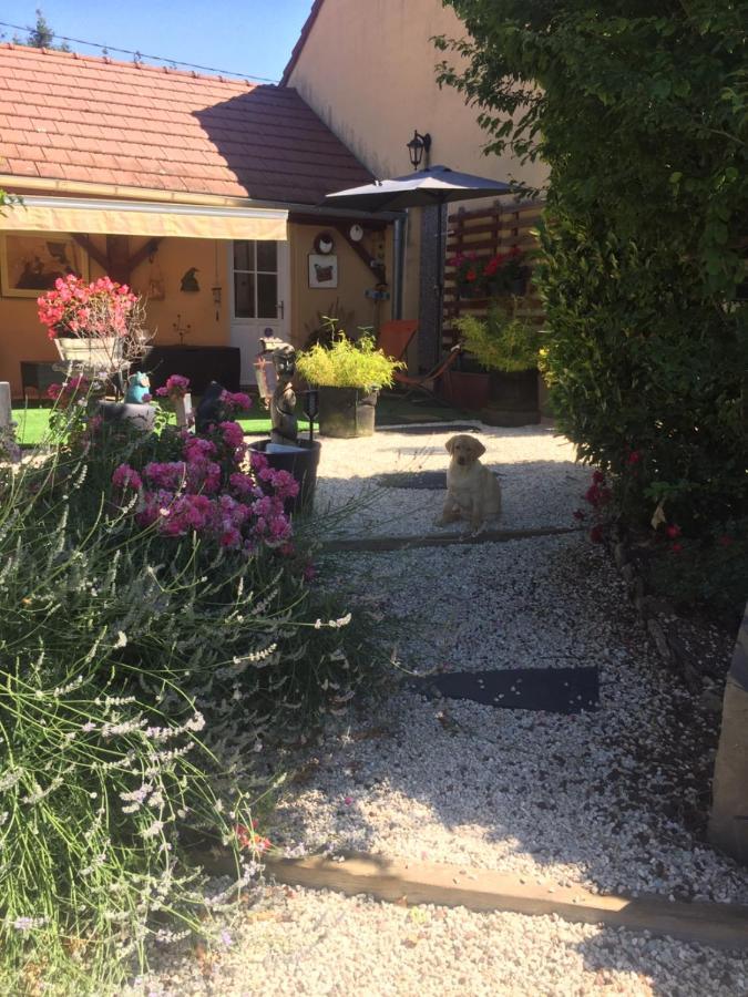Villa Le Jardin De Theleme "Charme Discret Pour Un Nid Douillet" Mazille Exterior foto